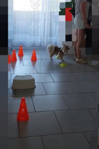 20260617_184802